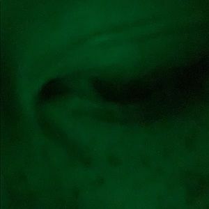 Meet your Posher, Jonah